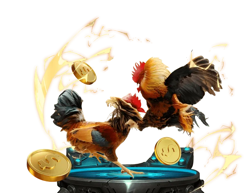 Đá gà Thái Lan sv88