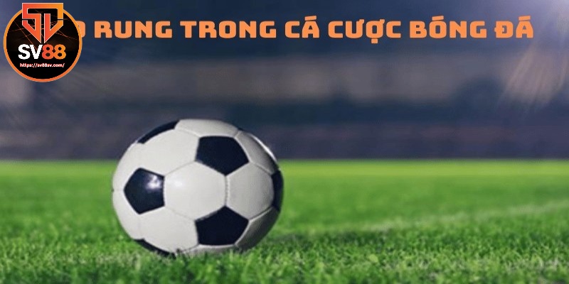 Đặc điểm của kèo rung