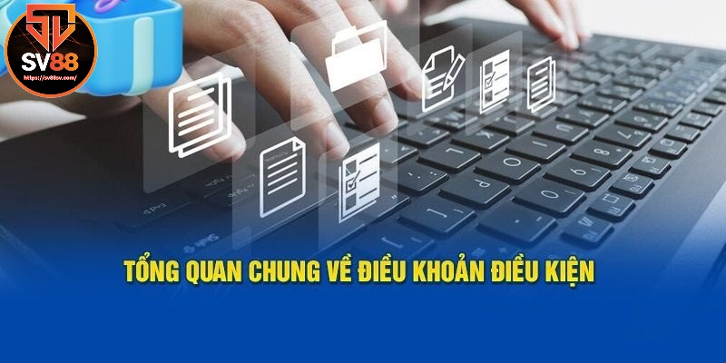 Thông tin điều khoản và điều kiện SV88