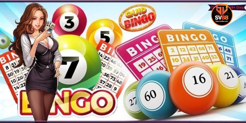 The Impact of Player Numbers on Your Bingo Odds
